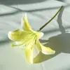 Estilo Nórdico Flor Artificial Haste Única Lírio Artificial Sala de Estar Home Staging Arranjo de Flores Flor Artificial Tecido Decoração de Fotografia Flor