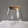 Criativo vaso de vidro hidropônico transparente micro paisagem ecológica decoração do tanque de peixes rabanete verde planta hidropônica arranjo de flores artesanato