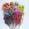 Venta al por mayor transfronteriza 96 Piezas de Gipsófila de Seda Flores Artificiales Decoración del Hogar Conjunto para Salón de Bodas Accesorios de Fotografía Flores Decorativas