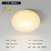 [Seleção Premium] Luminária de Teto Minimalista e Aconchegante para Quarto, Luminária Simples Moderna e Estilosa, Lâmpada Redonda Criativa para Sala de Estar