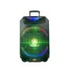 Suministro Directo de Fábrica Exportación Altavoz con Carrito de 15 Pulgadas 80W Sistema de Amplificación Portátil para Eventos a Gran Escala con Micrófono Inalámbrico