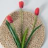 3 cabeça tulipa simulação buquê de casamento casa sala de estar flor decorativa pano de seda artificial falso flor tiro adereços atacado