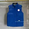 Chaqueta de Plumas de Ganso Transfronteriza con Cuello Alto para Hombres y Mujeres, Chaleco Clásico 08, Chaqueta Cálida para Exteriores para Primavera, Otoño e Invierno