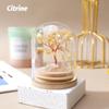 Espécimen de Grava de Cristal Natural Piedra Cristal Feng Shui Árbol del Dinero Botella de Vidrio Escritorio Accesorios de Decoración para el Hogar