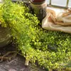 Simulação Golden Bell Willow Wall Hanging Rattan Flower Vine Fake Flower Vine Sala de estar Wall Hanging Wall Plastic Flower Fake Flower Green Plant