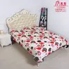 Nova Manta Estampada Embossada Raschel Nuvem Manta Flanela Em Estoque Comércio Exterior Camada Única Pessoa Única Dupla