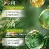 Champú Sentinel Platycladus Arborvitae Hoja, Ginseng y Ganoderma Lucidum para Cabello Refrescante y Voluminoso, Cosméticos de Precio Controlado