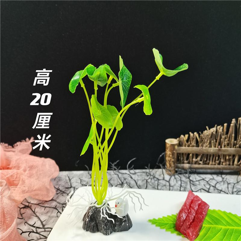 QQ图片20210817123201