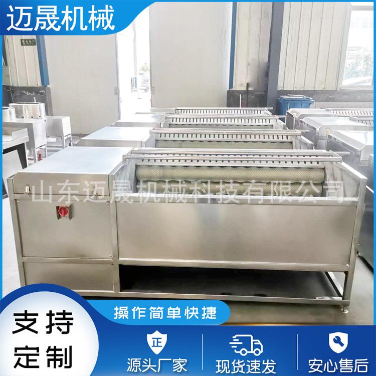1200型毛辊清洗机