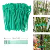Amarrilhos Espinha de Peixe para Jardinagem Transfronteiriça, Tiras Anti-Tombamento para Plantas, Ferramenta de Fixação para Plantas Trepadeiras, Multifuncional e Reutilizável