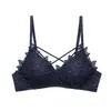 Sutiã de Renda Fino Lindo Costas Sexy Sem Aro Push-Up Bojo Triângulo Ajustável Lingerie Feminina Dropshipping
