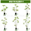 Planta Artificial de Madera Milenio Escandinavo Decoración Suave Planta Verde Falsa Adornos en Maceta Orquídea de Sangre de Dragón Artificial Ornamentos de Bambú