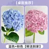 Flores Que Florescem por Muito Tempo e São Fáceis de Cultivar, Lírios, Sino dos Ventos, Flores de Corte Frescas, Plantas Hidropônicas de Cabelo Reto de Yunnan, Rosas, Arranjos de Flores de Interior