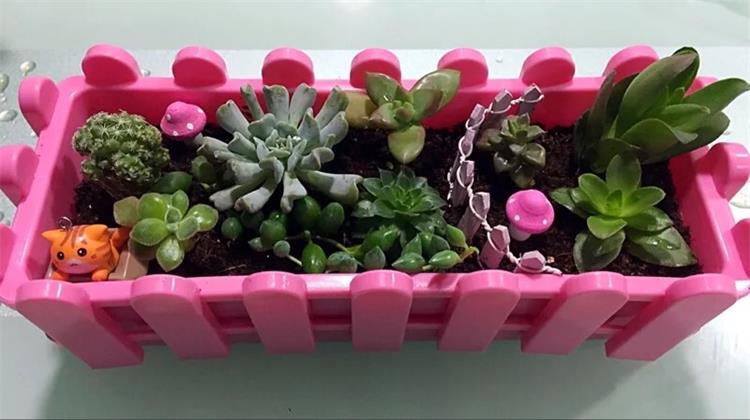 TB2ifs.nVXXXXa5XpXXXXXXXXXX_!!