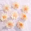 Cabezas de Flores de Crisantemo Artificiales para Varias Decoraciones de Paredes de Flores para Bodas, Materiales Hechos a Mano DIY, Flores para Sombreros, Decoración de Accesorios para Ropa
