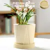 Vaso de Cerâmica para Flores com Prato, Estilo Ins de Luxo Leve, Diâmetro Grande, Estilo Creme, para Orquídeas e Suculentas, Liquidação