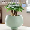 Vaso de Flores Morandi Celeb da Internet Cerâmica com Prato Casa Luz Luxo Phalaenopsis Suculenta Vaso de Flores Um