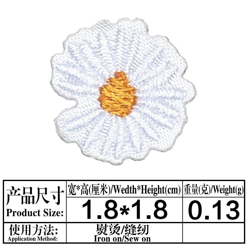 ZN173.jpg