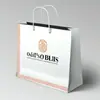 Fabricantes produzem em massa vários tipos de Sacolas de Cartolina Branca, Papel Kraft, Cartolina Preta e outros tipos de Sacolas de Mão que podem ser personalizadas com logotipos, bem como Sacolas para Roupas e Sacolas de Presente de Papelão