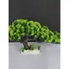 Decoração de Enfeite de Mesa Pinheiro Bem-vindo Pequeno Pinheiro Plantas Verdes Plantas Aquáticas Mini Rochedo Aquário Paisagismo Hotel