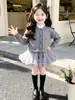Casaco Suéter Cardigan para Meninas 2026 Outono/Inverno Roupa Infantil Doce Saia Texturizada Vestido Princesa para Bebê Conjunto de Duas Peças