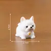 Micro-Paisagem Criativo Fofo Boneca Filhote Artificial Caixa Surpresa Acessórios de Decoração Carro Mesa Mini Ornamentos