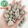 [Envío gratis gratis] piedra marina flotante es un lugar a granel de origen suministrado directamente con piedra marina flor de agua piedra de burbujas de agua piedra flotante marina Qin Xinyuan