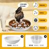 Tazón de Acero Inoxidable Tipo Ventosa Anti-Atragantamiento para Comida Lenta Transfronterizo Alimentador Grande para Mascotas Gato y Perro Suministros para Teddy
