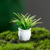 Novo 3-5cm simulação vaso planta atacado mini planta modelo acabado redondo arte paisagem micro paisagem ornamentos
