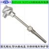 WZP-630 WZP2-631 resistencia térmica montada resistencia térmica roscada fija cónica tubo de protección