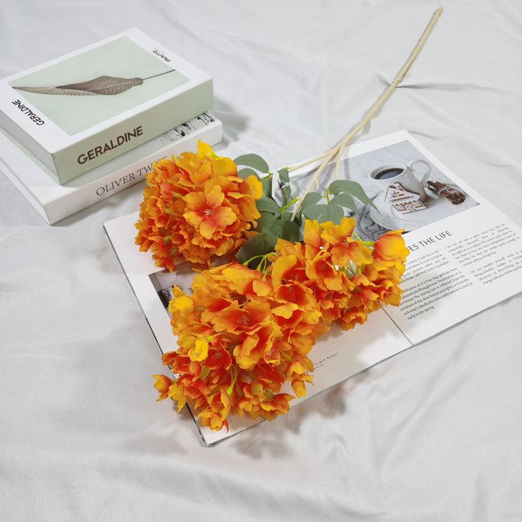 IMG_20220224_152338_副本