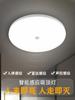Luz LED para escaleras de hogar, garaje, pasillo exterior, techo, control por voz, pasillo, cuerpo humano, techo, luz de inducción por radar