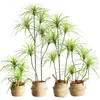 Planta Verde Artificial de Luxo Leve Madeira do Milênio Decoração de Sala de Estar Planta em Vaso Flor Artificial Biônica Árvore Sangue de Dragão Ornamentos de Chão para Interior