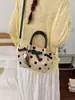 Bolsa de Mano Cruzada de Hombro Estilo Perezoso de Gran Capacidad con Lunares Elegante Simple Casual Verano 2026 Nuevo Estilo