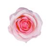 Cabeças de Flores de Rosa Artificiais para Decoração de Fundo de Casamento, Arco de Flores Falsas Transfronteiriço, Materiais Florais DIY Feitos à Mão