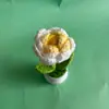 Rosa de Punto Hecho a Mano en Maceta de Lana Ganchillo Flores Artificiales para el Día de San Valentín y el Día de San Valentín Chino como Regalo para Mejores Amigas en el Día del Maestro