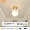 Luz de Pasillo de Lujo Ligero de Moda, Nuevo Creativo 2026 Hoja de Loto Luz de Techo LED Francesa para Entrada