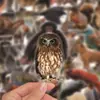 50 Adesivos de Grafite de Animais da Natureza Realistas Transfronteiriços para Decorar Malas, Skateboards, Capacetes, Diários e Adesivos de Pets
