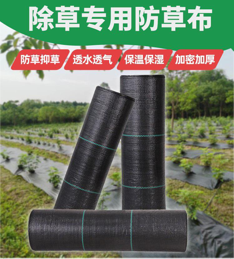 微信图片_20250217183302