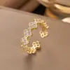 Anillo de Zirconia Micropavimentada Nuevo Transfronterizo Celebridad de Internet para Mujer, Anillo de Dedo Índice de Lujo Ligero de Moda de Gama Alta para Mujer con Apertura Ajustable