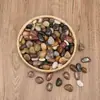 Guijarros, Piedras de Lluvia, Piedras en Bruto, Macetas, Paisajismo para Acuarios, Hidroponía, Fijación de Raíces, Adoquinado de Patios Exteriores, Piedras Naturales de Colores