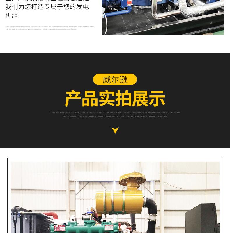 潍坊20305075100120150kw燃气发电机组天然气