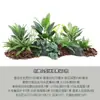 Venta al por mayor spot combinación de plantas verdes artificiales macetero exterior departamento de ventas de calle comercial canaleta para flores decoración de ventana cuadrada