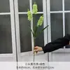 Flor de Simulación Verde Decoración Auditorio de Bodas Material de Flores para Bodas Flor Exterior Planta Verde Belleza Chen Arreglo Sanwei Kwai Mori Ceremonial de Bodas