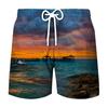 Pantalones de playa deportivos de ocio para hombre, venta al por mayor, impresión digital 3D, para vacaciones de verano en la playa, 2023