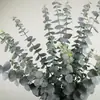 Folha de eucalipto de 5 pontas impressa em 3D, arranjo de plantas folha verde de dinheiro decoração floral, planta verde artificial transfronteiriça