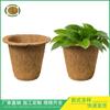 Vasos para Plántulas de Fibra de Coco, Macetas Nutritivas para Plántulas, Macetas para Cultivo de Plantas Verdes, Suministros de Jardinería, Macetas para Flores, Venta al Por Mayor por Fabricante, Auto-Riego
