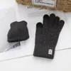 Luvas de Lã Tricotadas Personalizadas de Imitação de Caxemira, Forradas com Fleece e Espessadas para Aquecimento, Luvas Versáteis à Prova de Frio para Uso Externo com Tela Sensível ao Toque