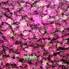 Té de Rosa Roja Oscura de Yunnan Flor Seca Comestible Doble Corola de Rosa No Liofilizada Flores Grandes Niñas Hacen Té y Lo Beben