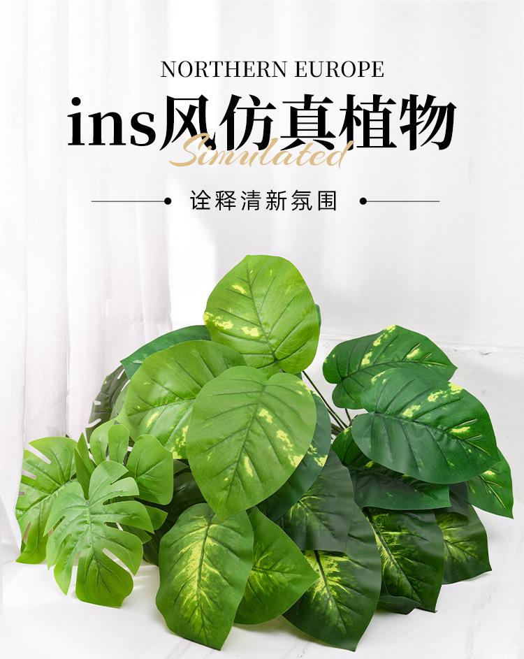 详情_01.jpg